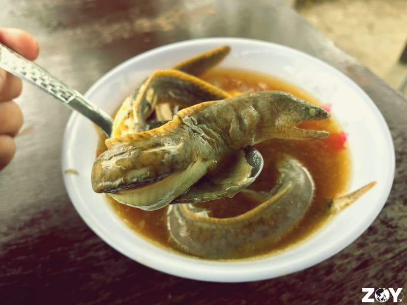 Nilarang na Bakasi: The Dish Behind Cordova's Fiesta